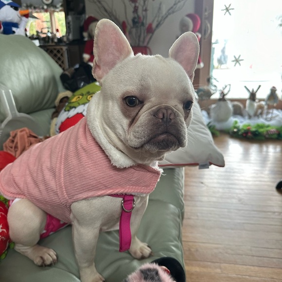 Meet your Posher’s, Sister duo Lulu & Weesa - Picture 7 of 10